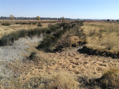 How wetlands help rescue us from drought — Borehole Water Association of Southern Africa