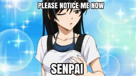 Notice Me Senpai Meme | hXcHector.com