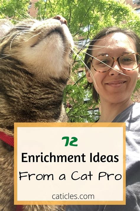 Cat Enrichment DIY | 70+ Indoor Cat Happiness Ideas | Indoor cat, Cat hacks, Cats diy projects