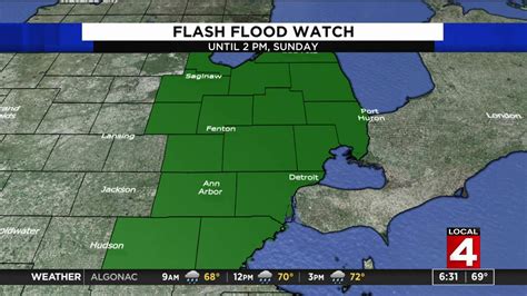 Michigan FEMA Flood Zones Map