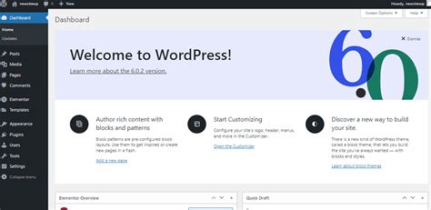 How to Build a WordPress Website for Free (2024)