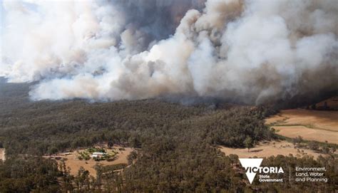 More than 110 plant species in Australia had their entire ranges burned ...