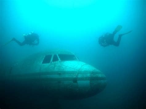 Sunken airplane looms in the deep : r/submechanophobia