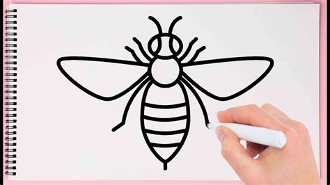 How to Draw Honey Bee Step by Step Learn Drawing Honey Bee Very Easy For Kids - YouTube