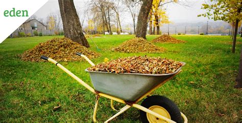 Fall Clean-Up Checklist: Steps to Prep Your Yard | eden