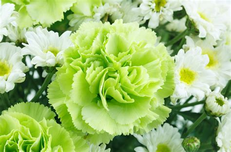 Color of the Year 2017: Greenery – 1800Flowers Petal Talk