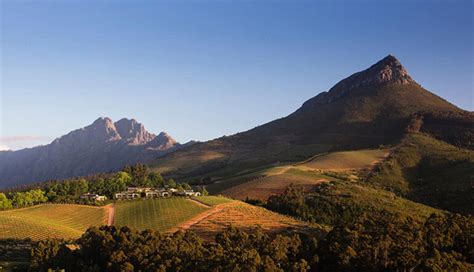 Cape Winelands Wine Tasting Tour | Wine Tasting Tours