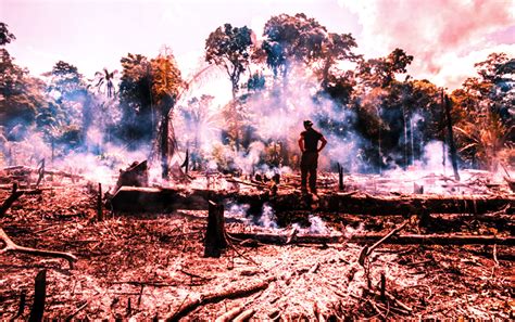 The Amazon forest fires