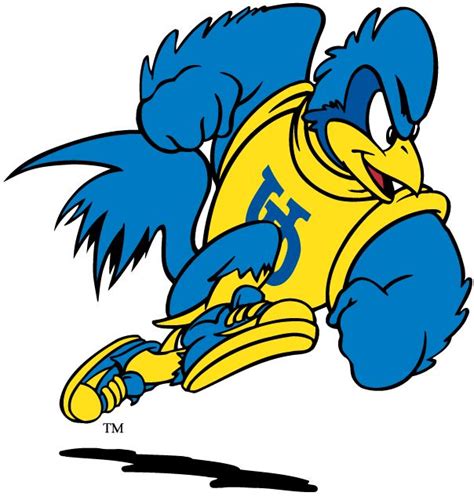 University of Delaware Blue Hens Mascot Logo - YoUDee