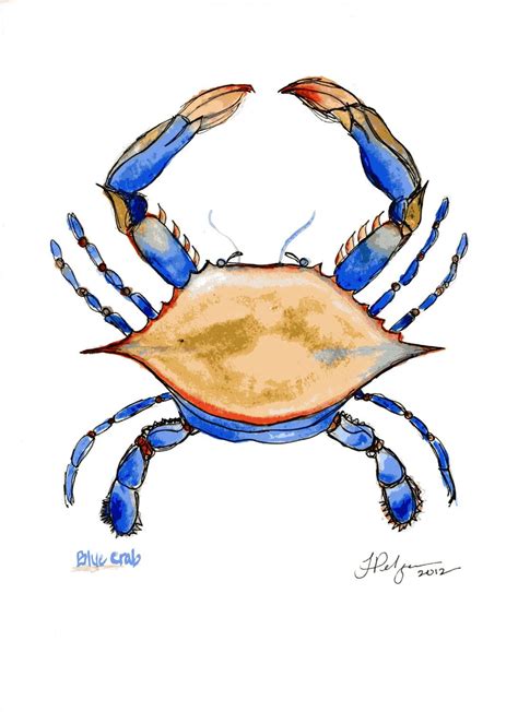 Blue Crab Print - Watercolor and Pen Illustration by Tiffany Pelczar | Blue crab print, Crab art ...