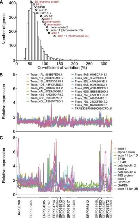 Top 5 of the Best Free Tools to Visualize Your Transcriptome Data ...