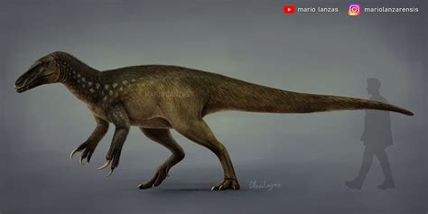 MEGARAPTOR New reconstruction of this misterious... - MARIO LANZAS