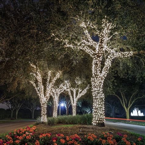 Fairy Lights - White Light - Walmart.com in 2020 | Outdoor tree lighting, Solar christmas lights ...