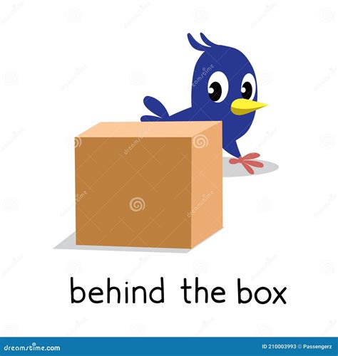 Preposition Of Place. Bird Behind The Box Cartoon Vector ...