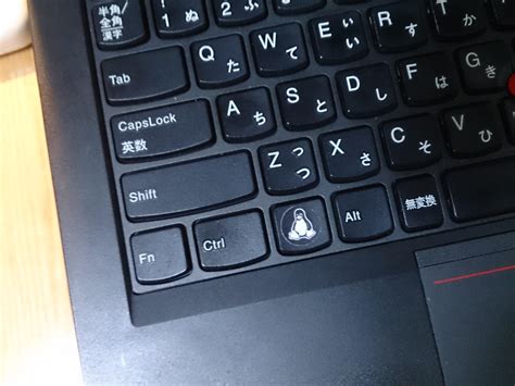 Do you guys swap Fn and Ctrl key? : r/thinkpad