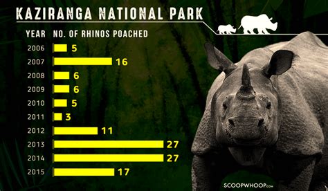 Rhino Poaching Crisis and Conservation in Assam