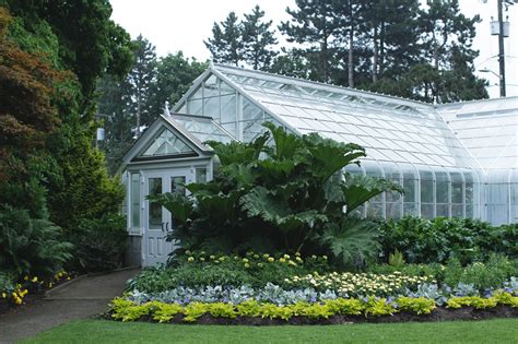 Lattes & Layers: Volunteer Park Conservatory in Seattle, WA