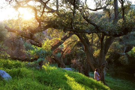 Poway Horse Trails | Hidden San Diego