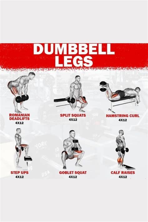 Complete leg workout guide | Dumbbell workout, Dumbbell leg workout ...