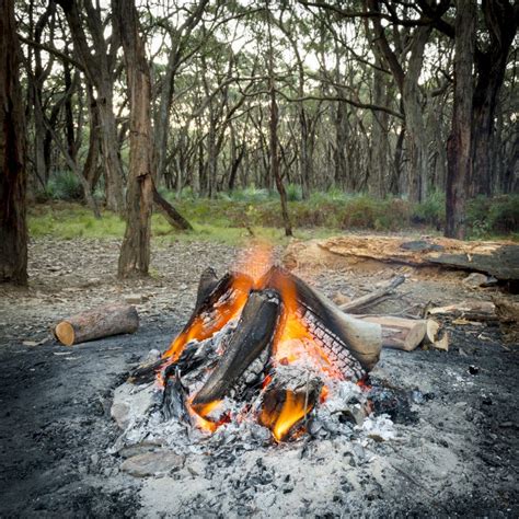 Campfire in Forest stock image. Image of australia, glow - 45186449