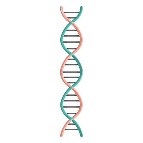 Dna chain illustration #AD , #AFFILIATE, #Sponsored, #illustration, # ...