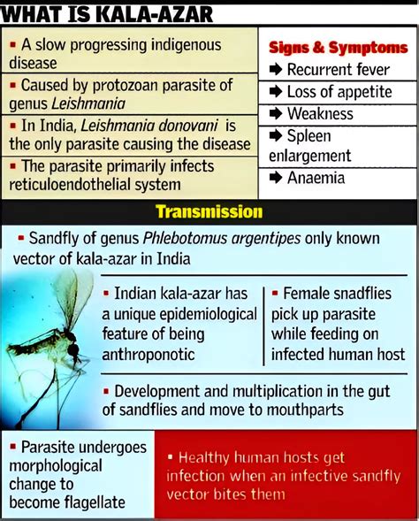 Kala-Azar: Causes, Transmission, And Symptoms - PWOnlyIAS