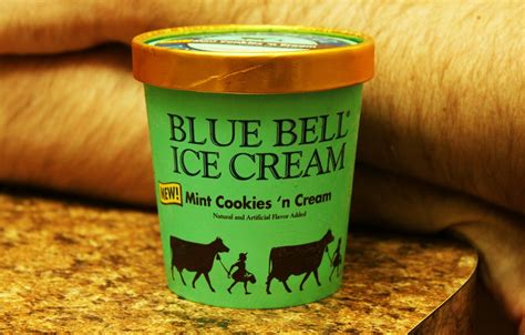 Blue Bell Ice Cream: Flavors, Prices, And Ordering Process - Cakes Prices