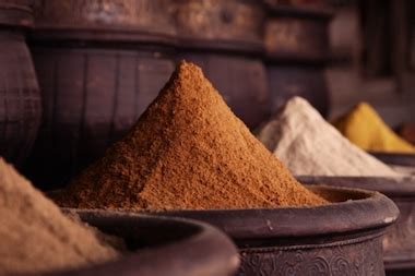 The Ancient Spice Trade, Way of Life Literature