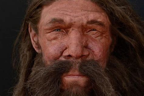 Neanderthals, Denisovans, humans genetically closer than polar bears ...