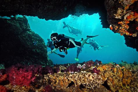 Go Dive Lanta : Scuba Diving on Koh Lanta Island, Krabi, Thailand | Krabi, Krabi thailand, Dive ...