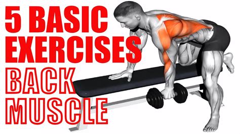 LATISSIMUS DORSI EXERCISES - The BEST way to build Serious Wings - YouTube