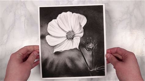 Charcoal Drawing Flowers