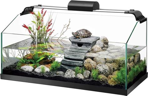 The Best Turtle Tanks (Review of the Top 6)