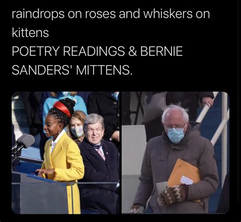 Today was a great day for mittens : r/memes