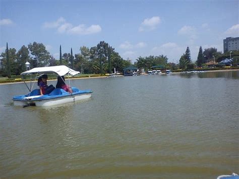 THE 15 BEST Things to Do in Celaya - 2023 (with Photos) - Tripadvisor