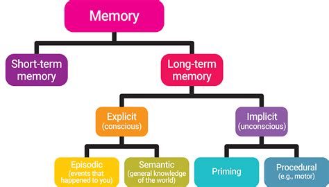 Types of Memory: Sensory Memory, Short-term Memory (STM) or “Working Memory”, Long-term Memory ...