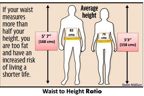 waist to height ratio chart Height to waist ratio calculator