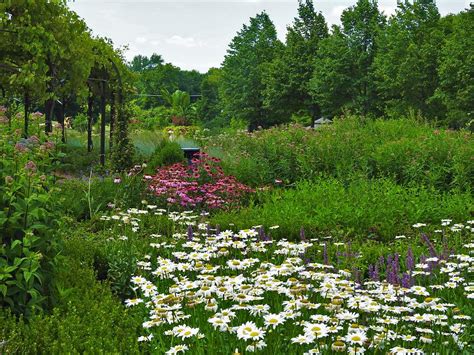 Cantigny Gardens Warrenville Illinois Photograph by Barbara Ebeling - Fine Art America