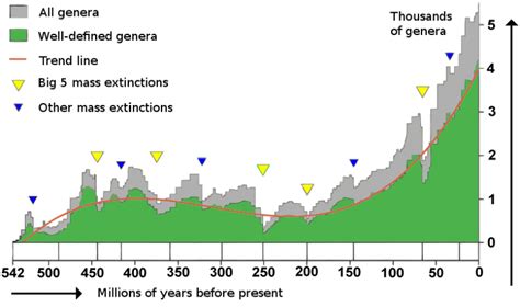 Mass Extinctions and Radiations | Biological Principles