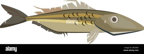 Common ling fish Stock Vector Image & Art - Alamy