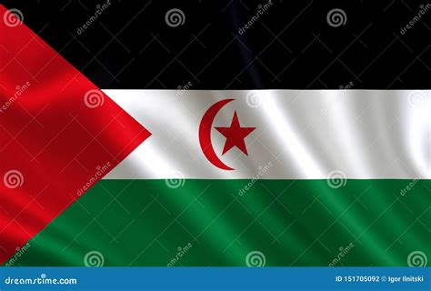 An Image of the Flag of the Sahrawi Arab Democratic Republic. Series `Africa` Stock Illustration ...