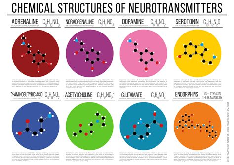 Compound Interest: Chemical Structures of Neurotransmitters