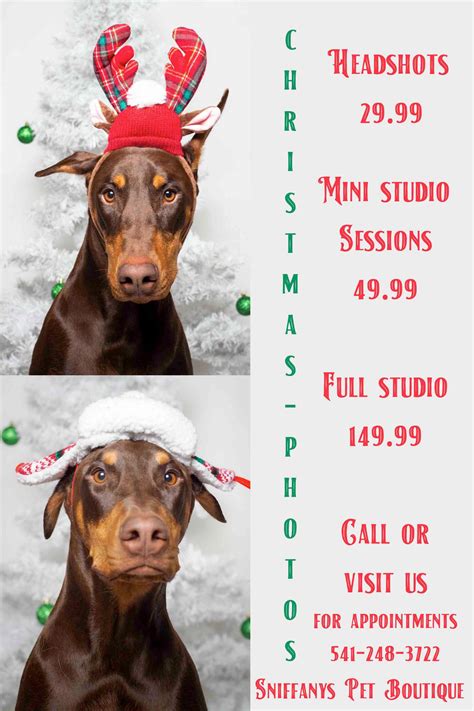 Christmas Pet Photoshoots - Sniffany's Pet Boutique