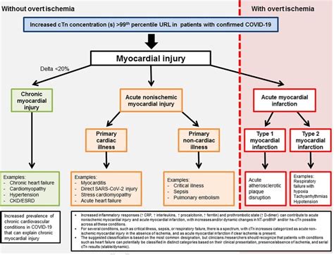 Types Of Nstemi Classification