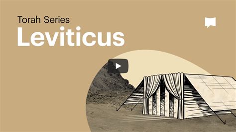 Torah Series: The Book of Leviticus | BibleProject – A Light to Follow