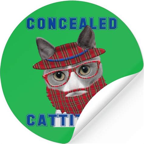 Funny Cat Meme Concealed Cattitude Stickers sold by Segun | SKU ...