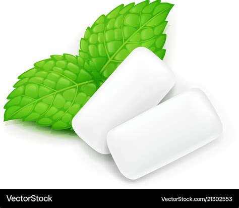 Two chewing gum and mint leaf Royalty Free Vector Image