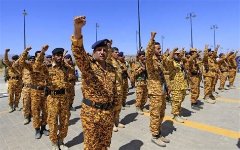 Italy says Houthis must be stopped without triggering another war | The ...