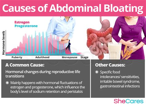 Lower Belly Bloat