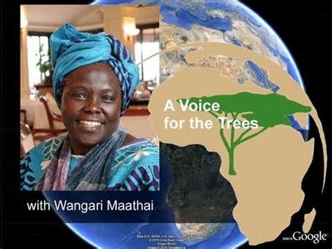 Wangari Maathai was the first African women to win a Nobel Peace Prize; she re-plant Kenyan ...